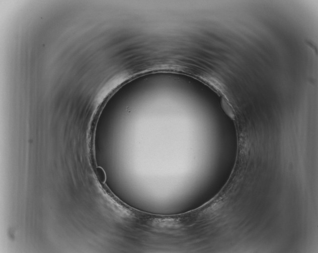 X0000102251135200808011305