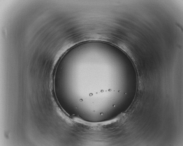 X0000102251136200808011305