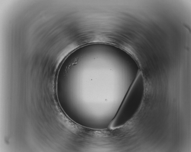 X0000102251138200808011305