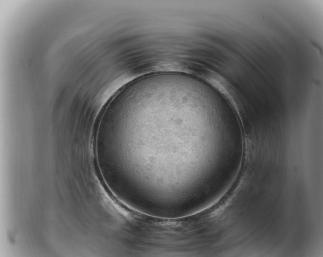 X0000102251141200808011305