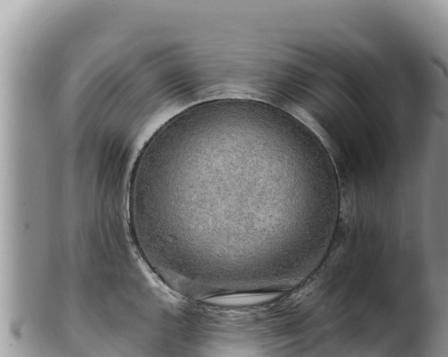 X0000102251144200808011305