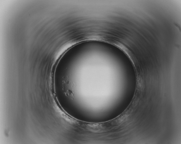 X0000102251147200808011305