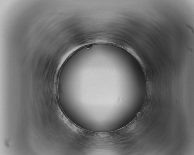 X0000102251148200808011305