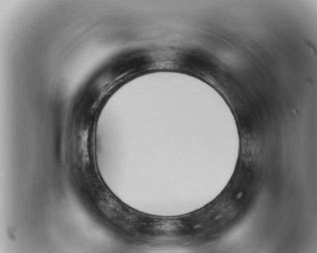 X0000102251150200808011305