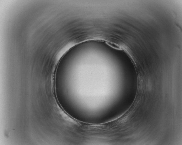 X0000102251151200808011305