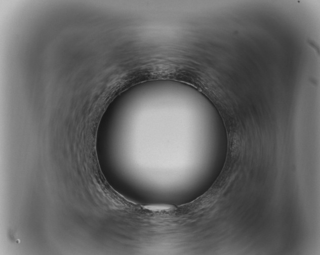 X0000102251153200808011304