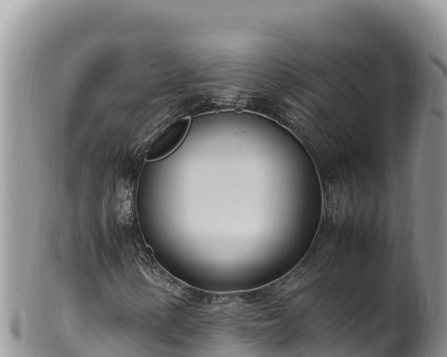 X0000102251154200808011304