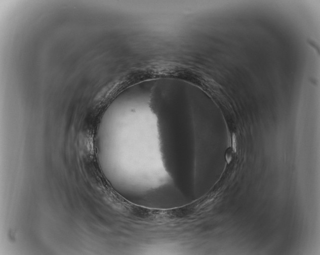 X0000102251155200808011304