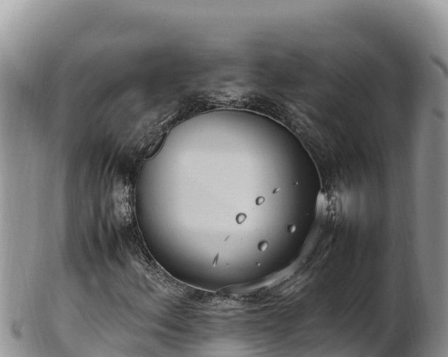 X0000102251156200808011304