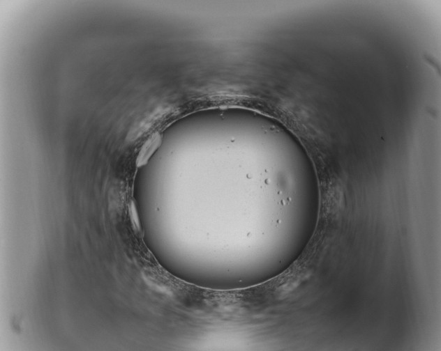 X0000102251157200808011304