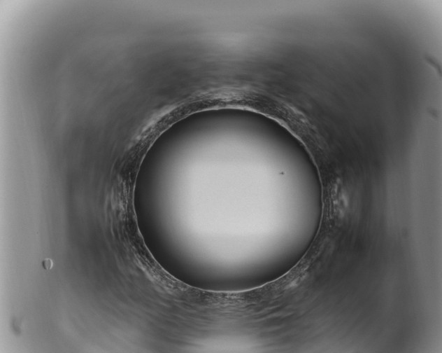 X0000102251158200808011304