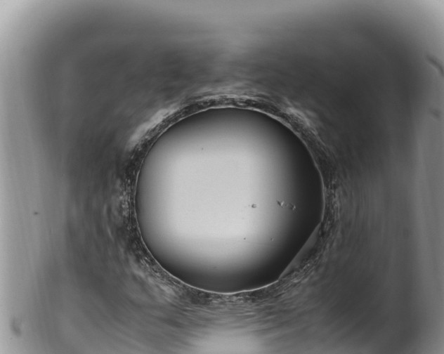 X0000102251159200808011304