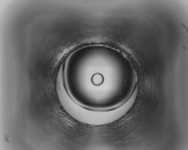 X0000102251160200808011304