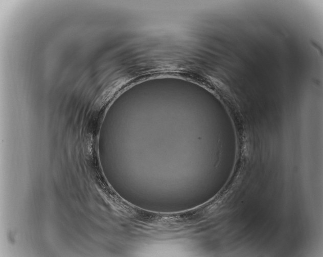 X0000102251161200808011304