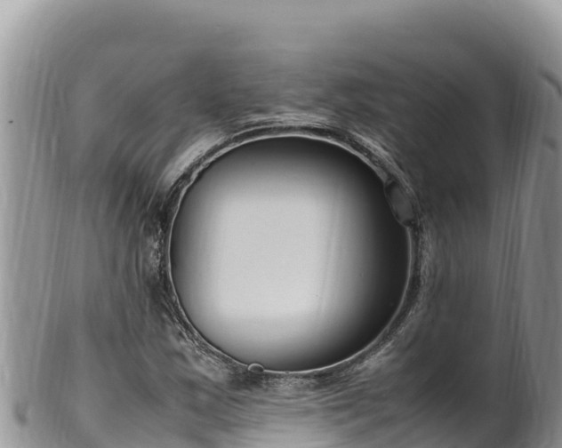 X0000102251163200808011304