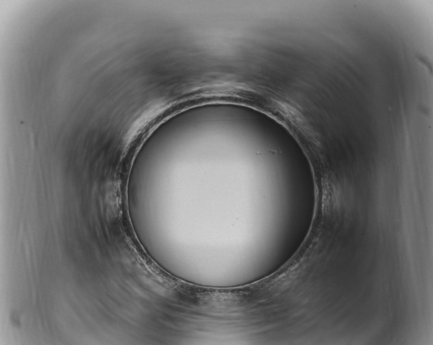 X0000102251164200808011304