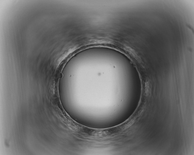 X0000102251165200808011304