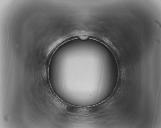 X0000102251167200808011304