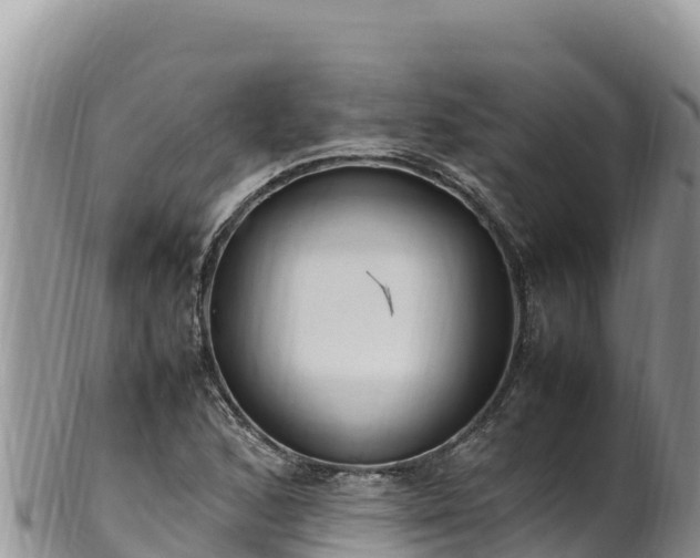 X0000102251168200808011304