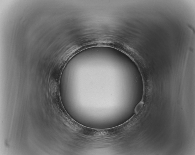 X0000102251169200808011304