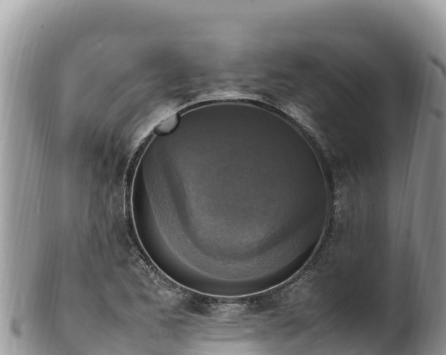 X0000102251173200808011304