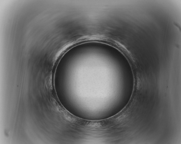 X0000102251174200808011304