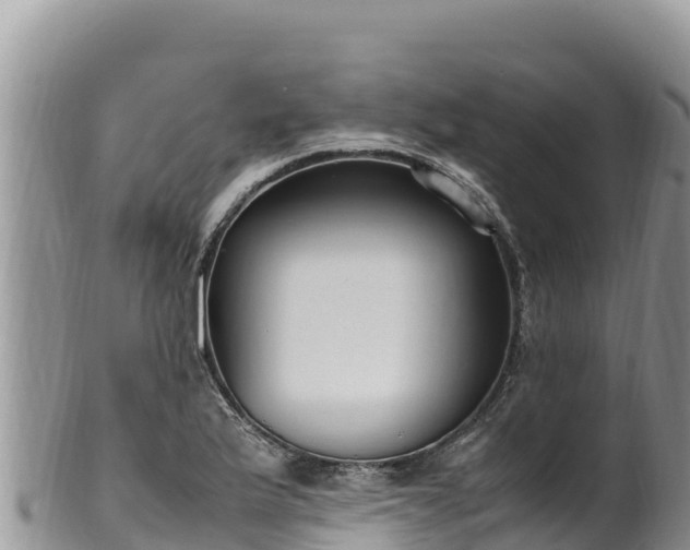 X0000102251175200808011304