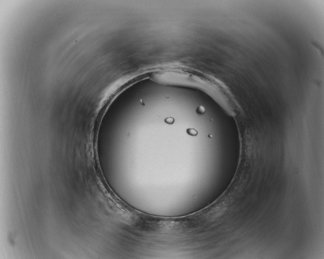 X0000102251176200808011304