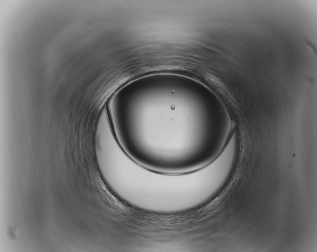 X0000102251177200808011304