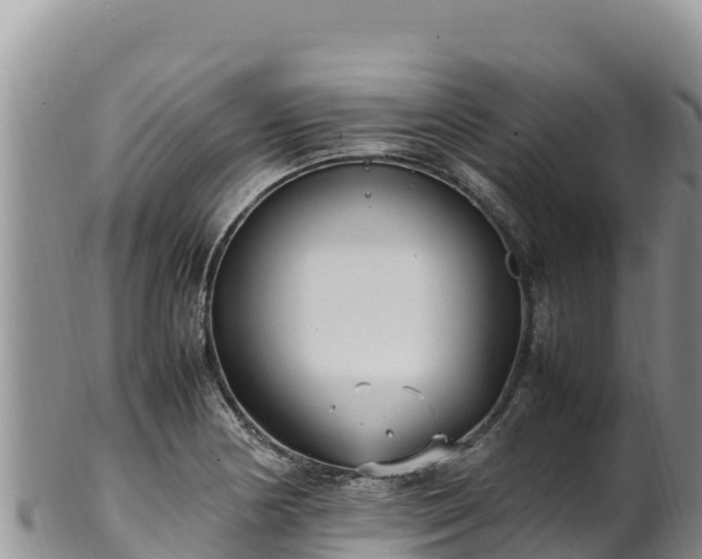 X0000102251178200808011304