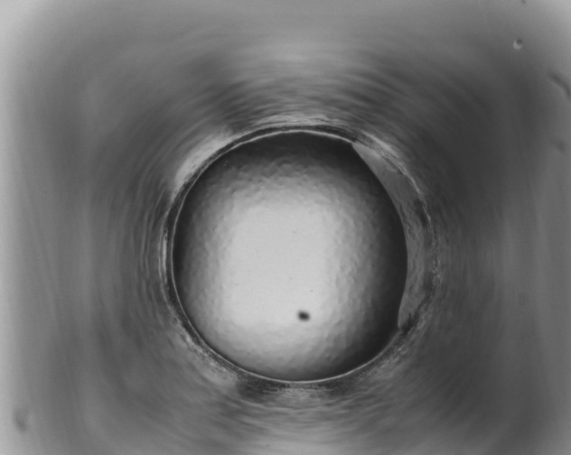 X0000102251179200808011304