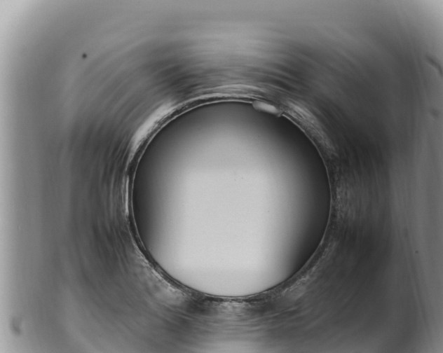 X0000102251180200808011304