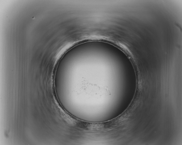 X0000102251183200808011304