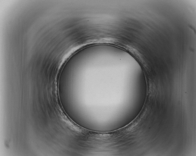 X0000102251184200808011304