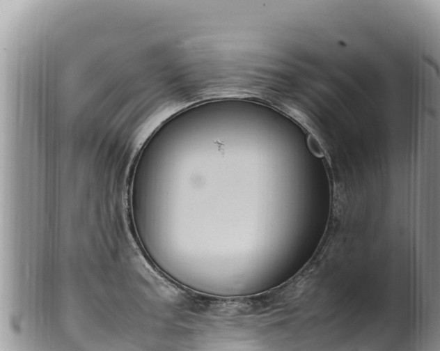 X0000102251187200808011304