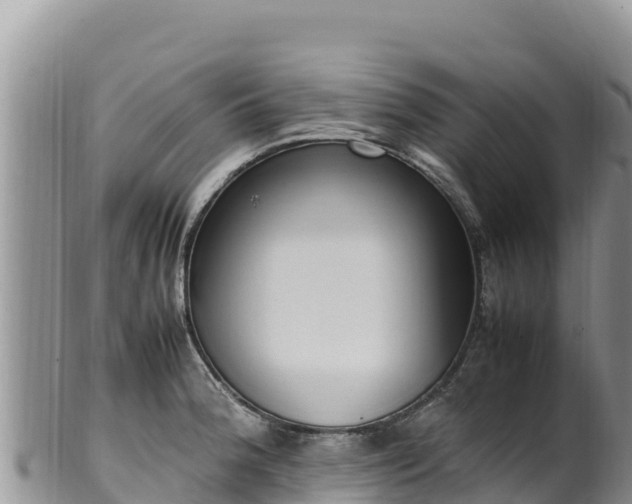 X0000102251188200808011304