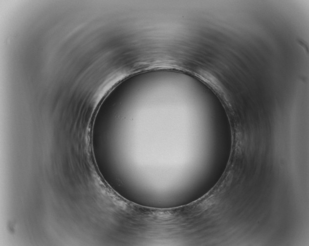 X0000102251190200808011304