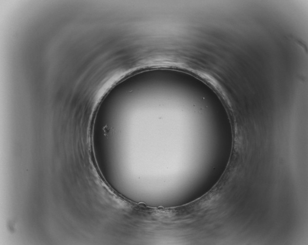 X0000102251191200808011303