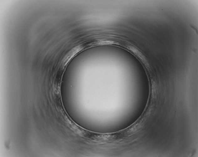 X0000102251193200808011303