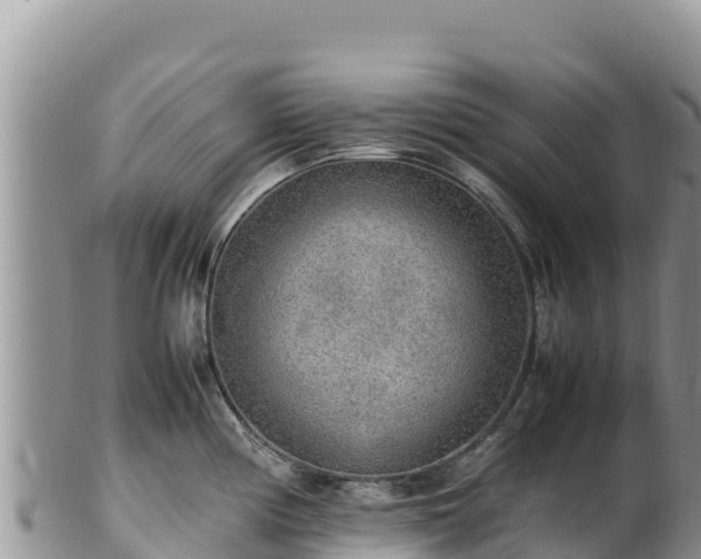 X0000102251194200808011303