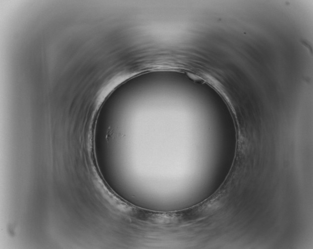 X0000102251195200808011303