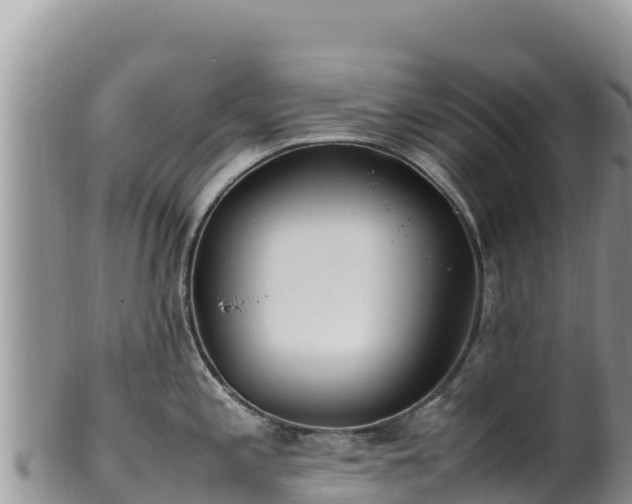 X0000102251197200808011303