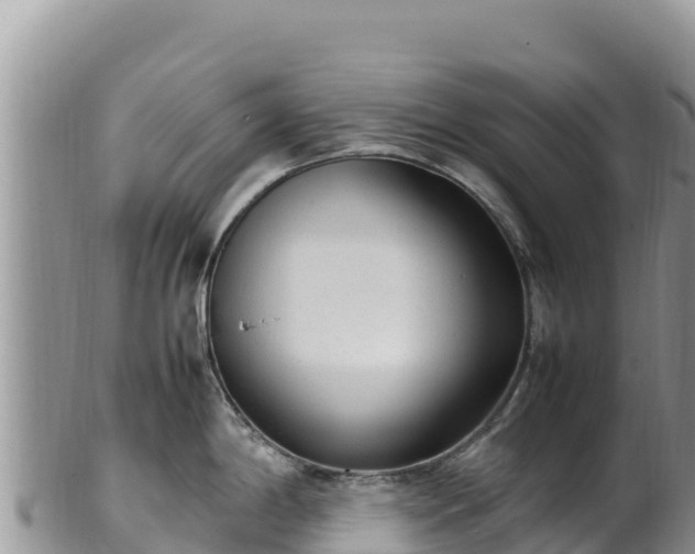 X0000102251198200808011303