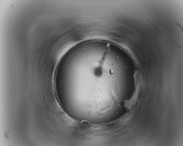 X0000102251199200808011303