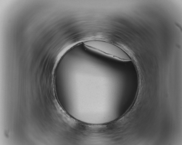 X0000102251200200808011303