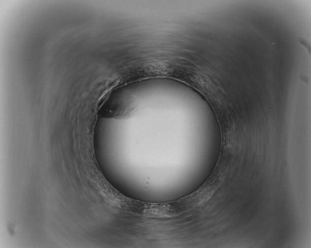 X0000102251201200808011303