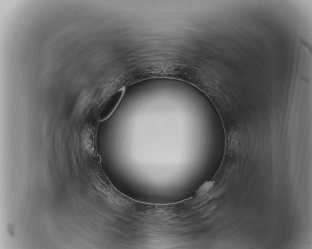 X0000102251202200808011303