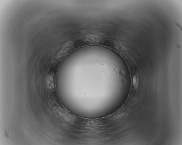 X0000102251203200808011303