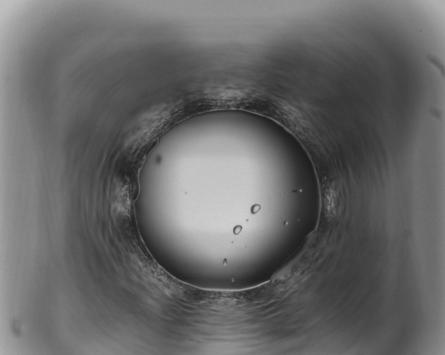 X0000102251204200808011303