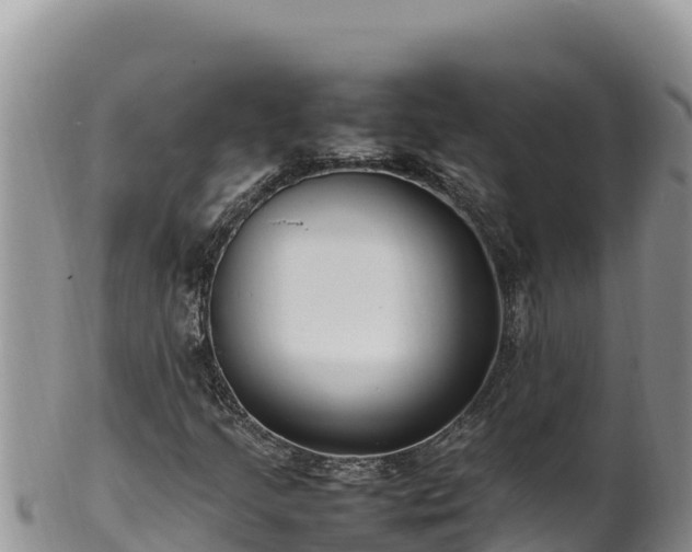 X0000102251205200808011303